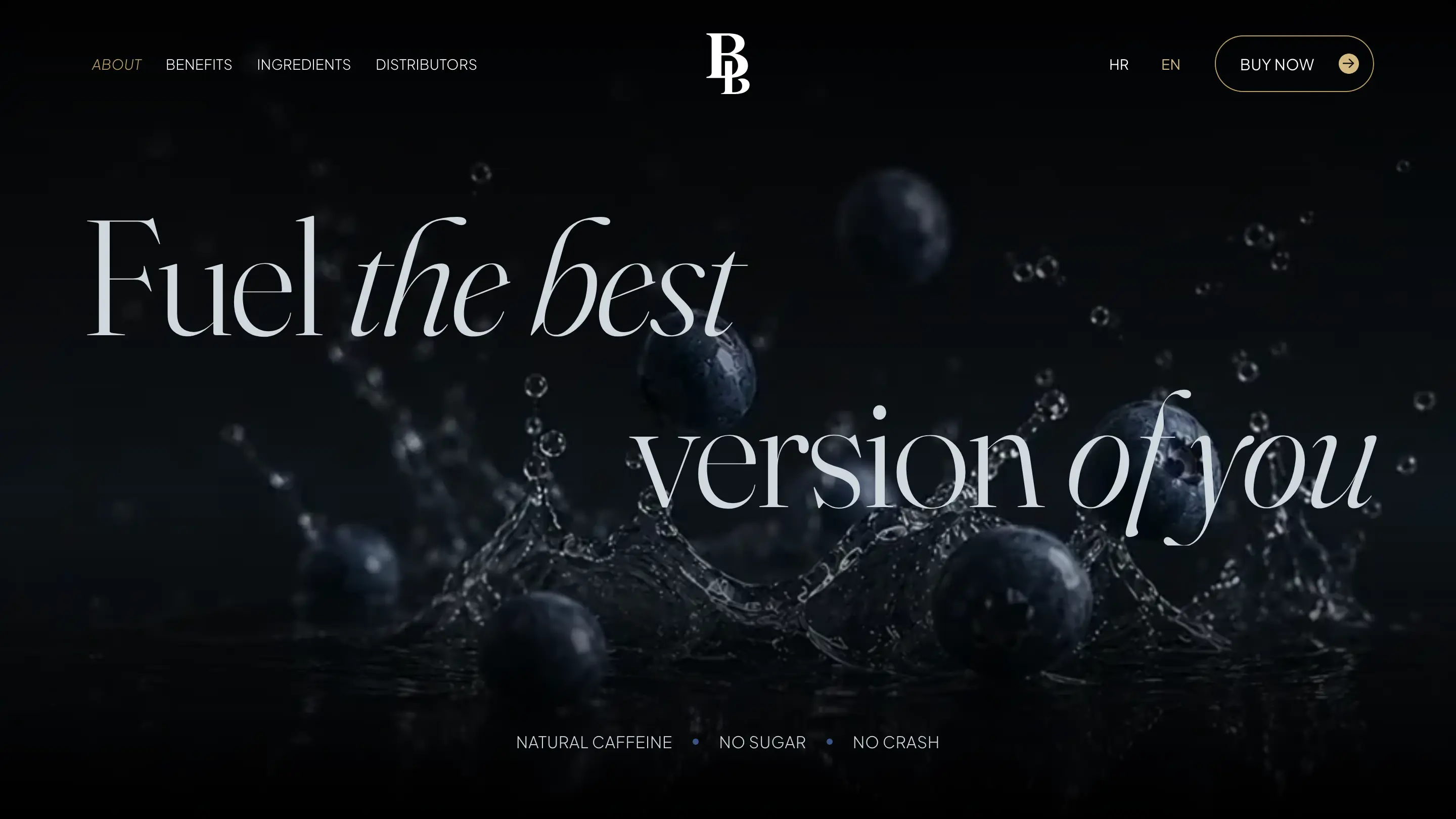 BeBest Energy homepage with blueberries reflected in a dark liquid surface