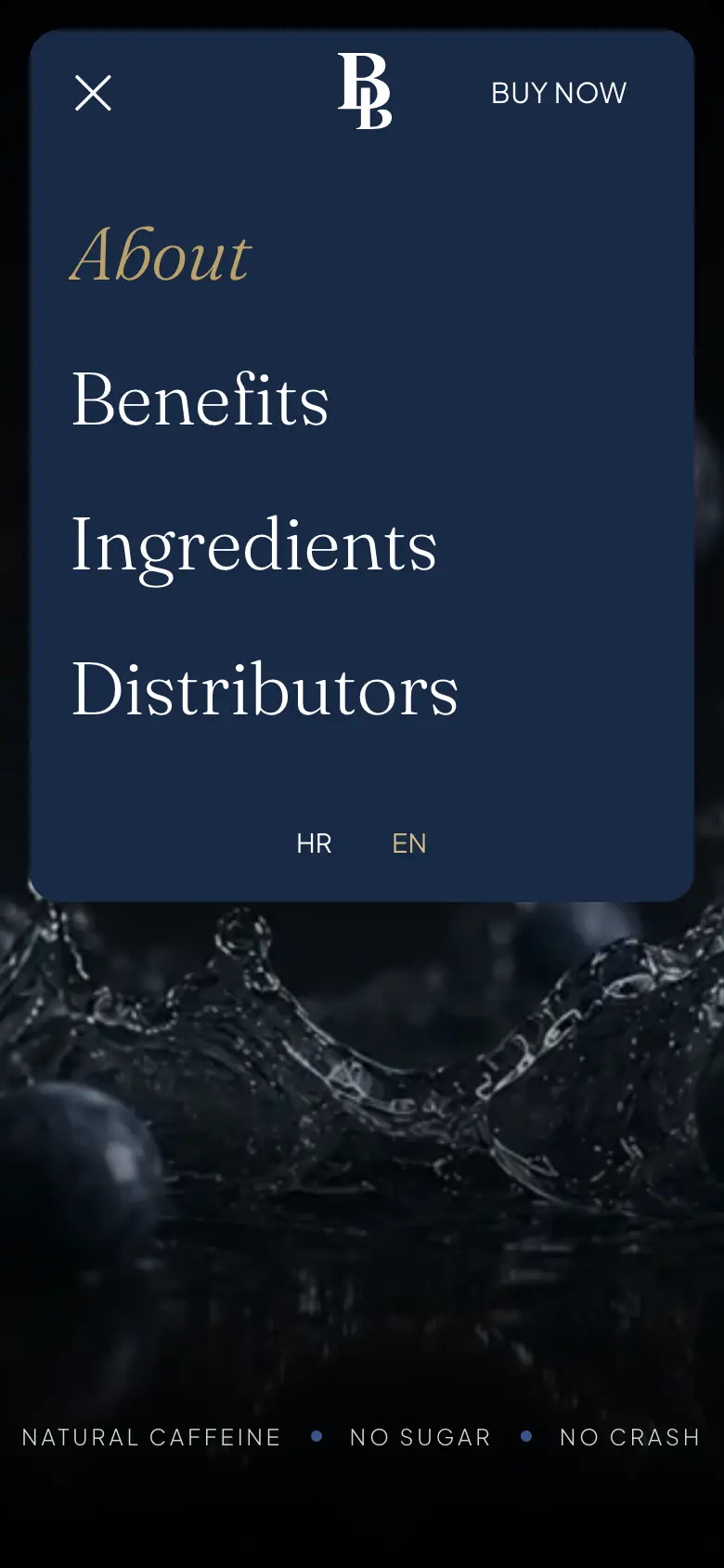 Mobile BeBest Energy navigation menu